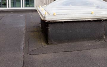disadvantages of Twyn Allws flat roofs